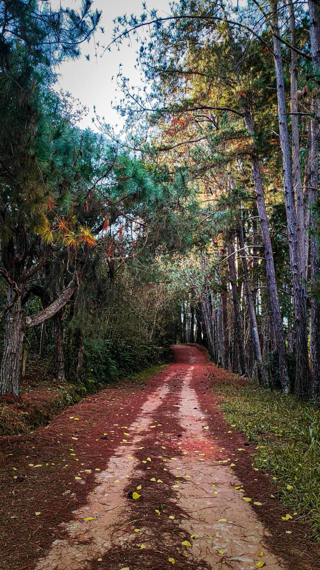 Pousada Colar De Ouro Cunha Buitenkant foto