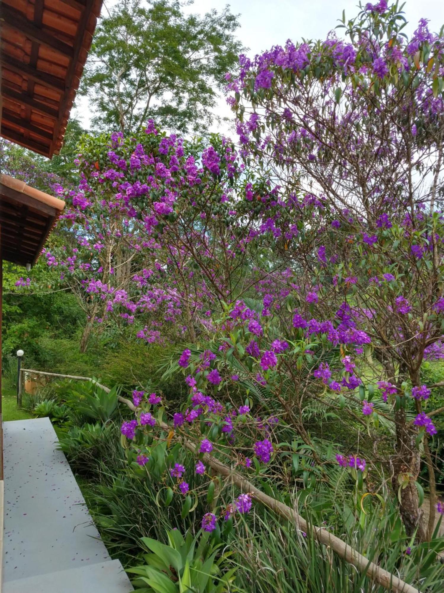 Pousada Colar De Ouro Cunha Buitenkant foto