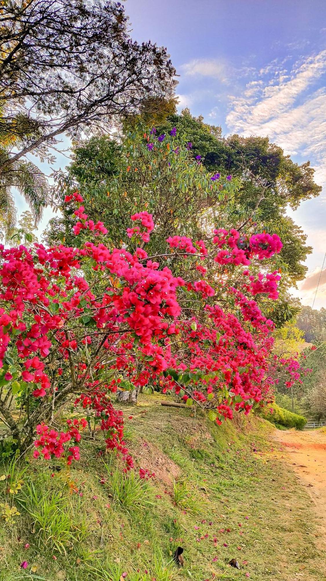 Pousada Colar De Ouro Cunha Buitenkant foto